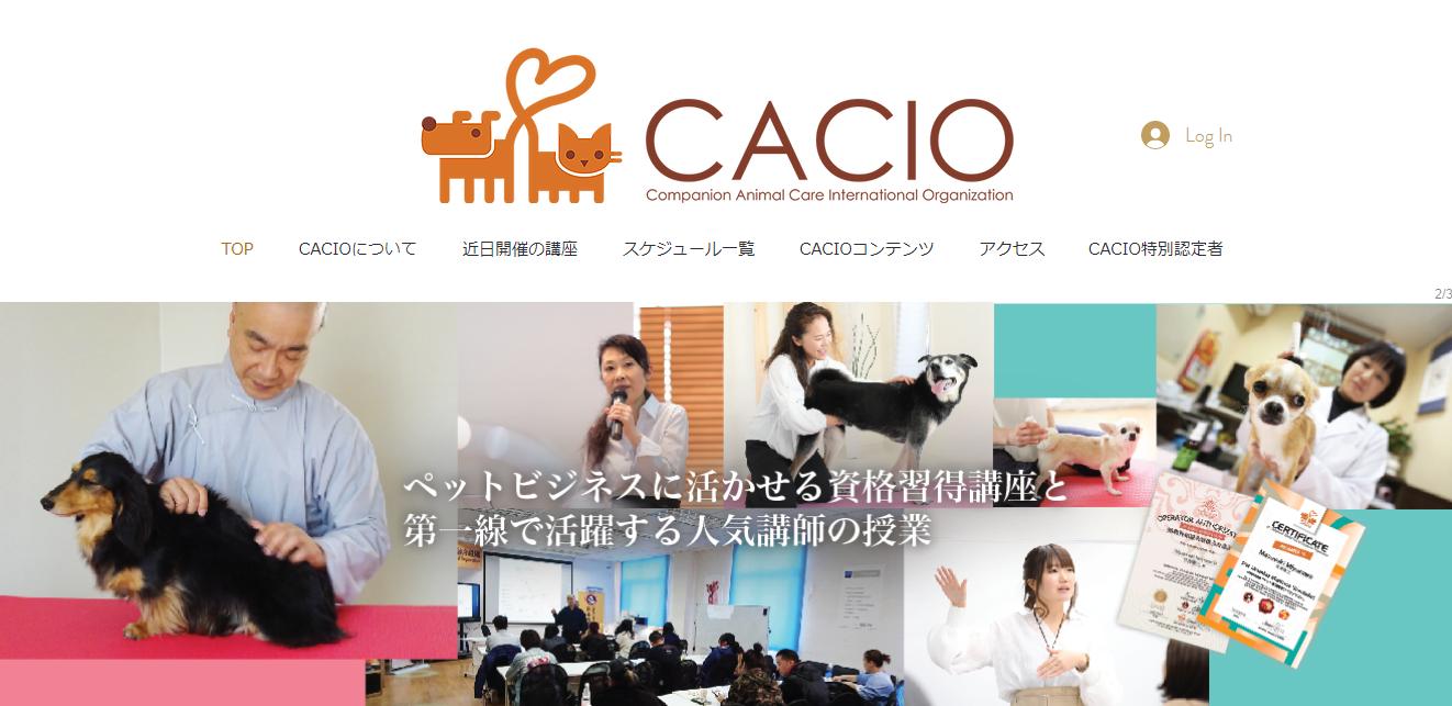 CACIO愛犬のための四季薬膳と養生法