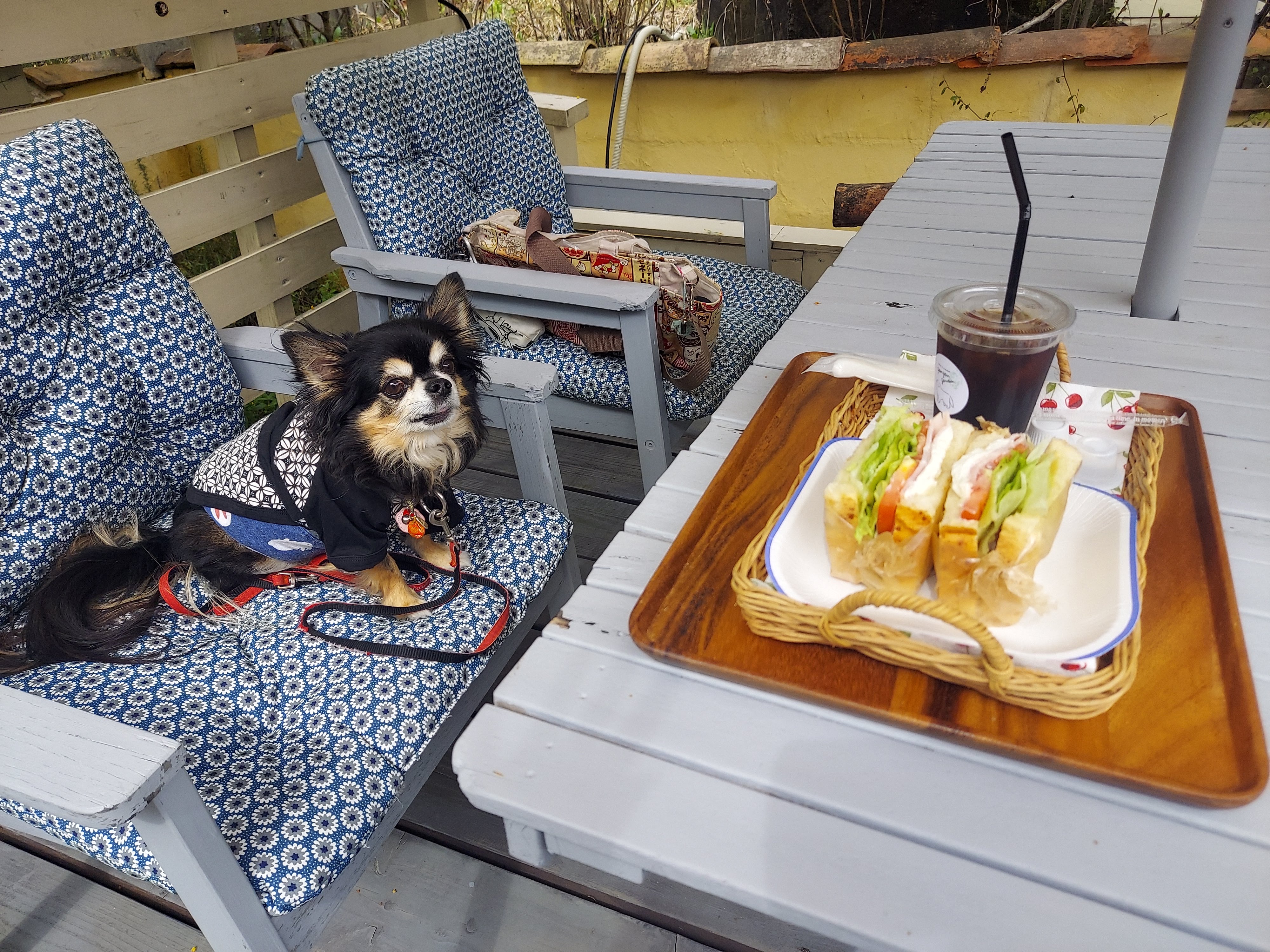 gongoncafe(ごんごんカフェ)