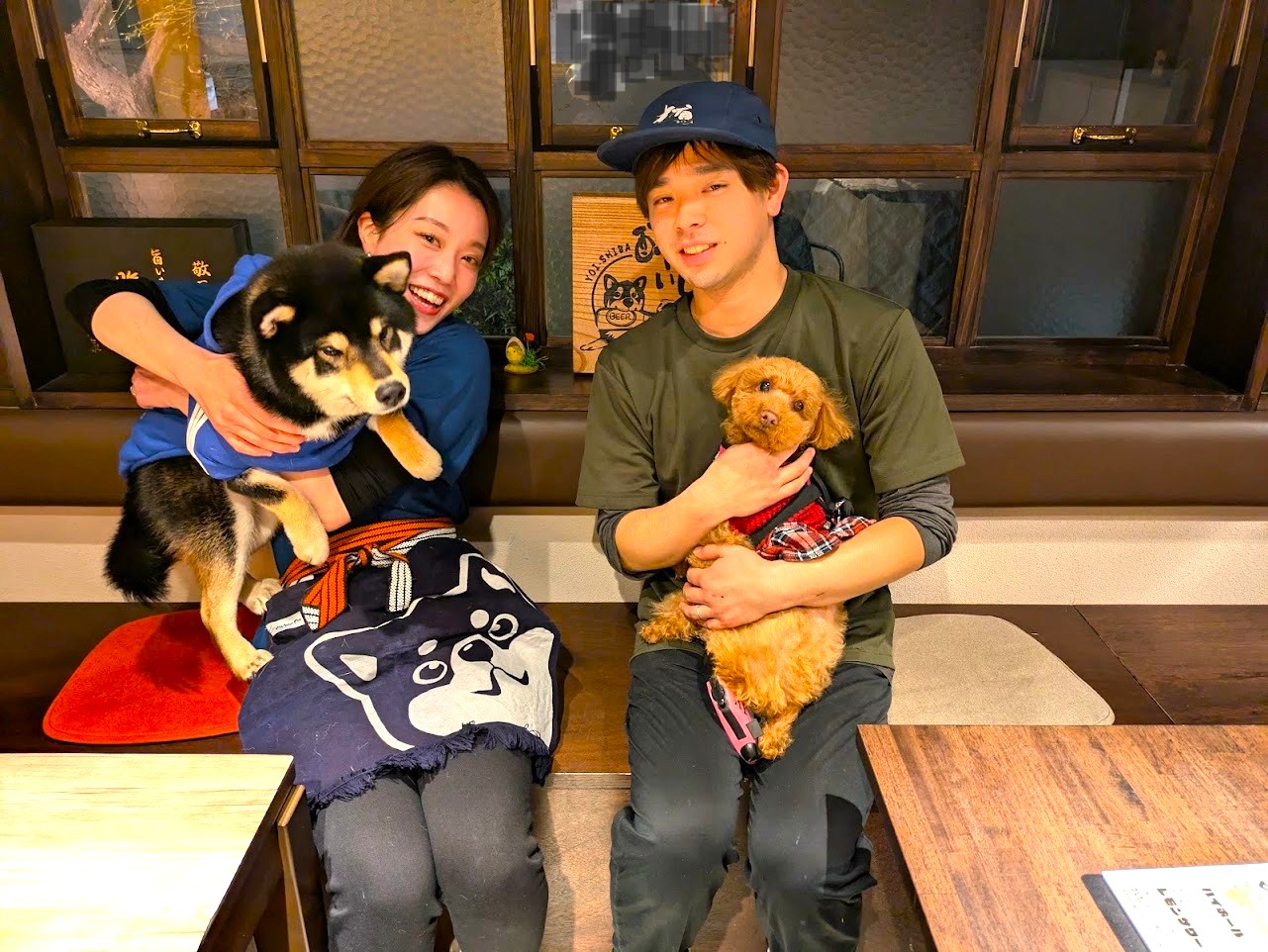 春巻きとよだれ鶏酔いしば谷町六丁目