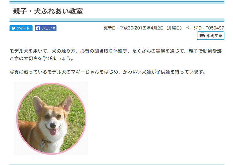 親子・犬ふれあい教室