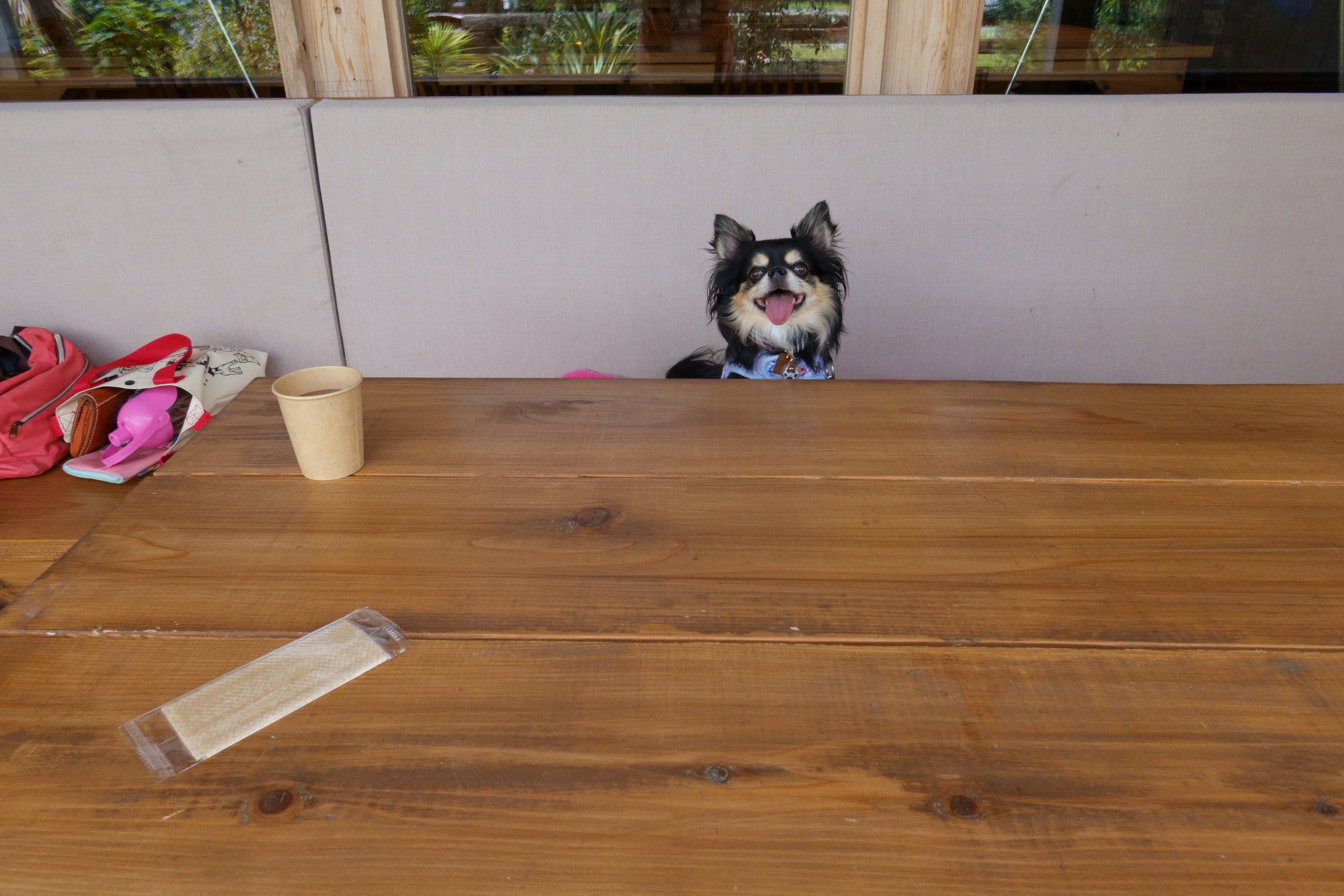 カフェ カイマナリオ