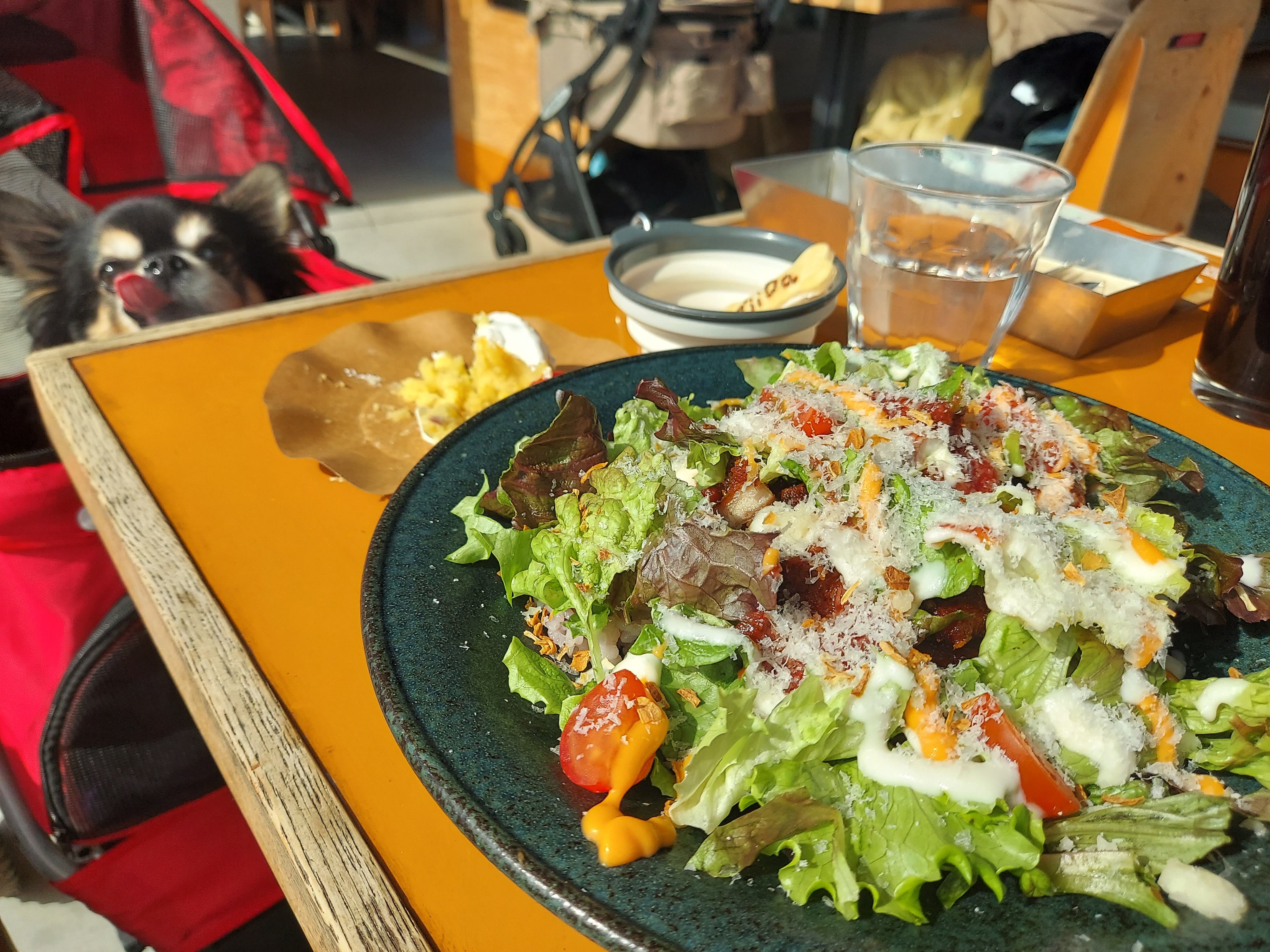 BOTANICAL HOUSE（ボタニカルハウス）