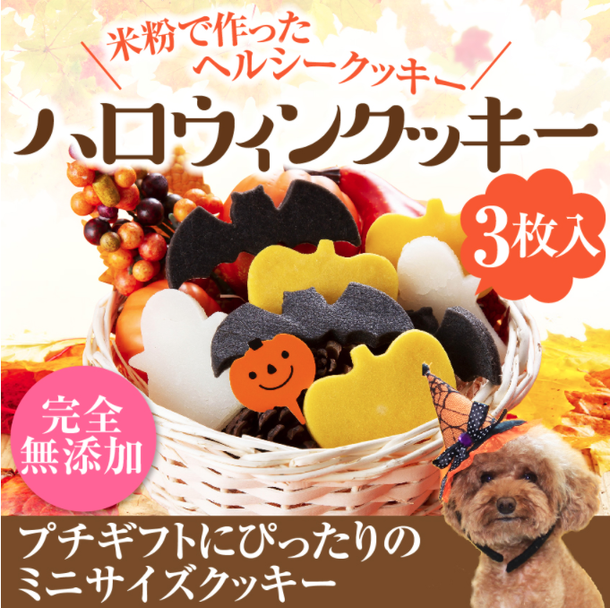 「愛犬とおうちでハロウィンを楽しもう！」ペットと一緒編集部