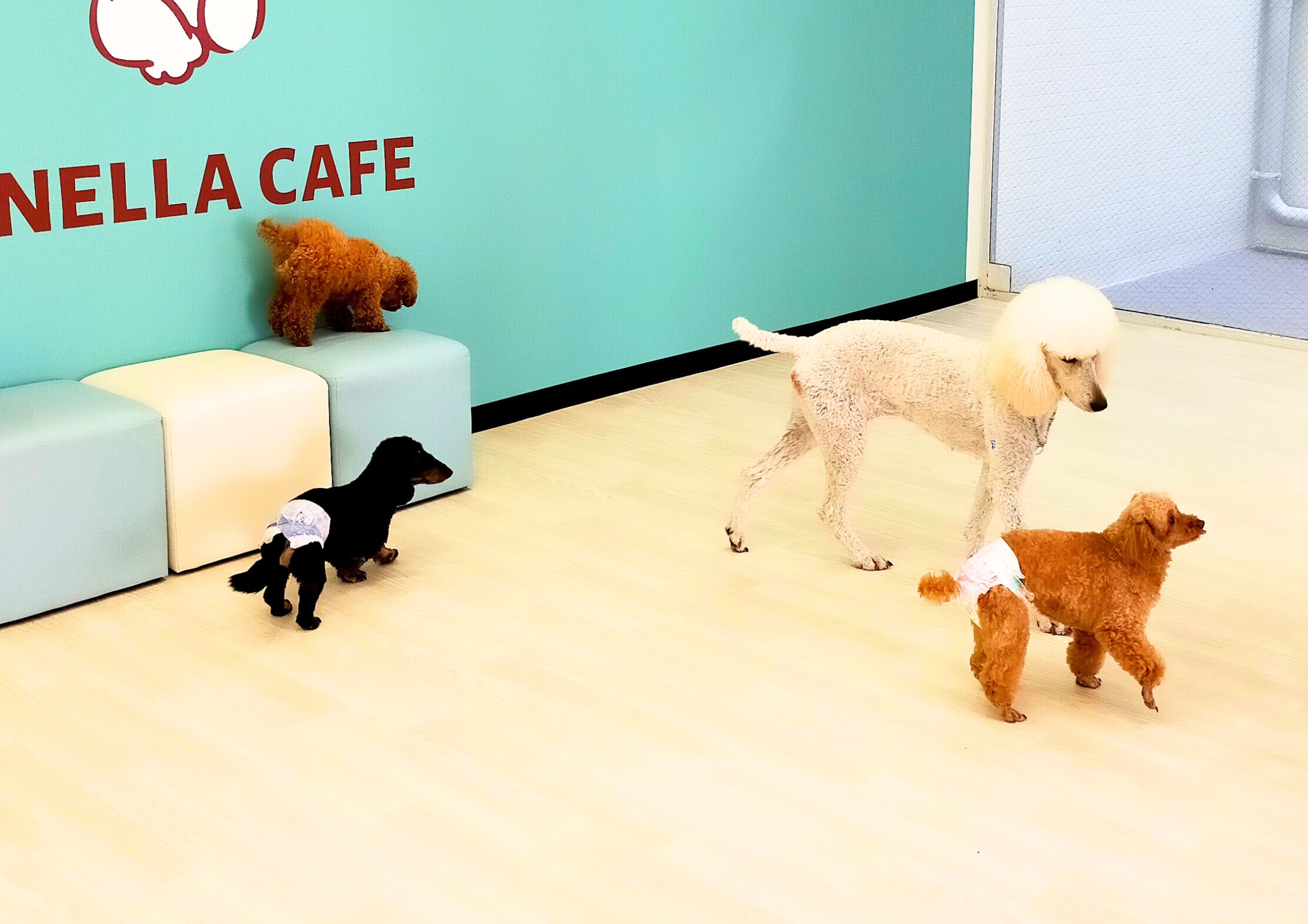 ANELLA CAFE アネラカフェ西宮店