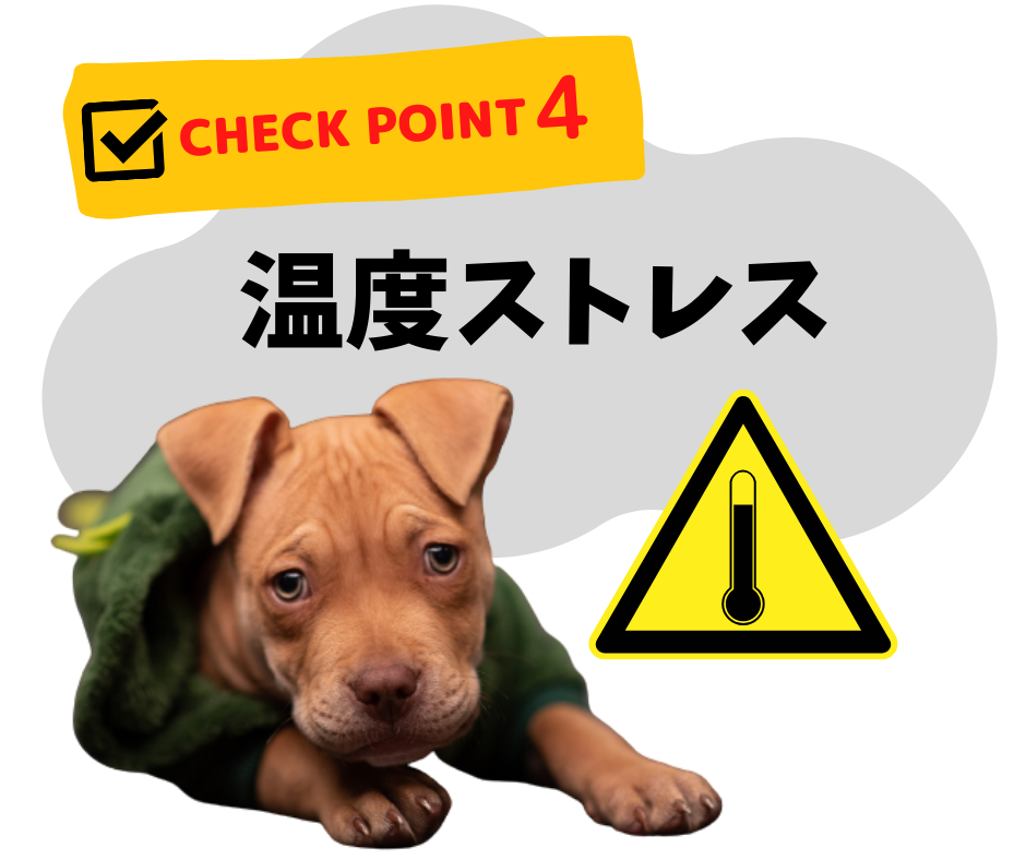 愛犬が自宅で感じるストレスは?早めに気づくためにチェックしよう!