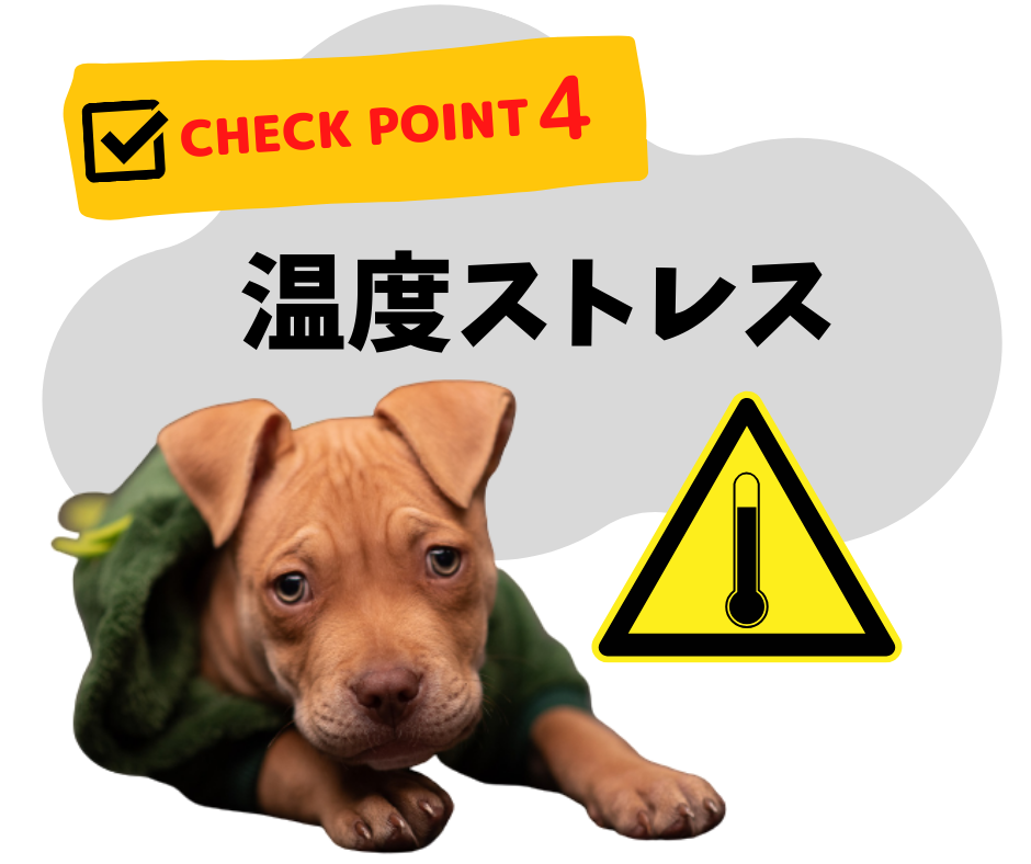 愛犬が自宅で感じるストレスは？早めに気づくためにチェックしよう!