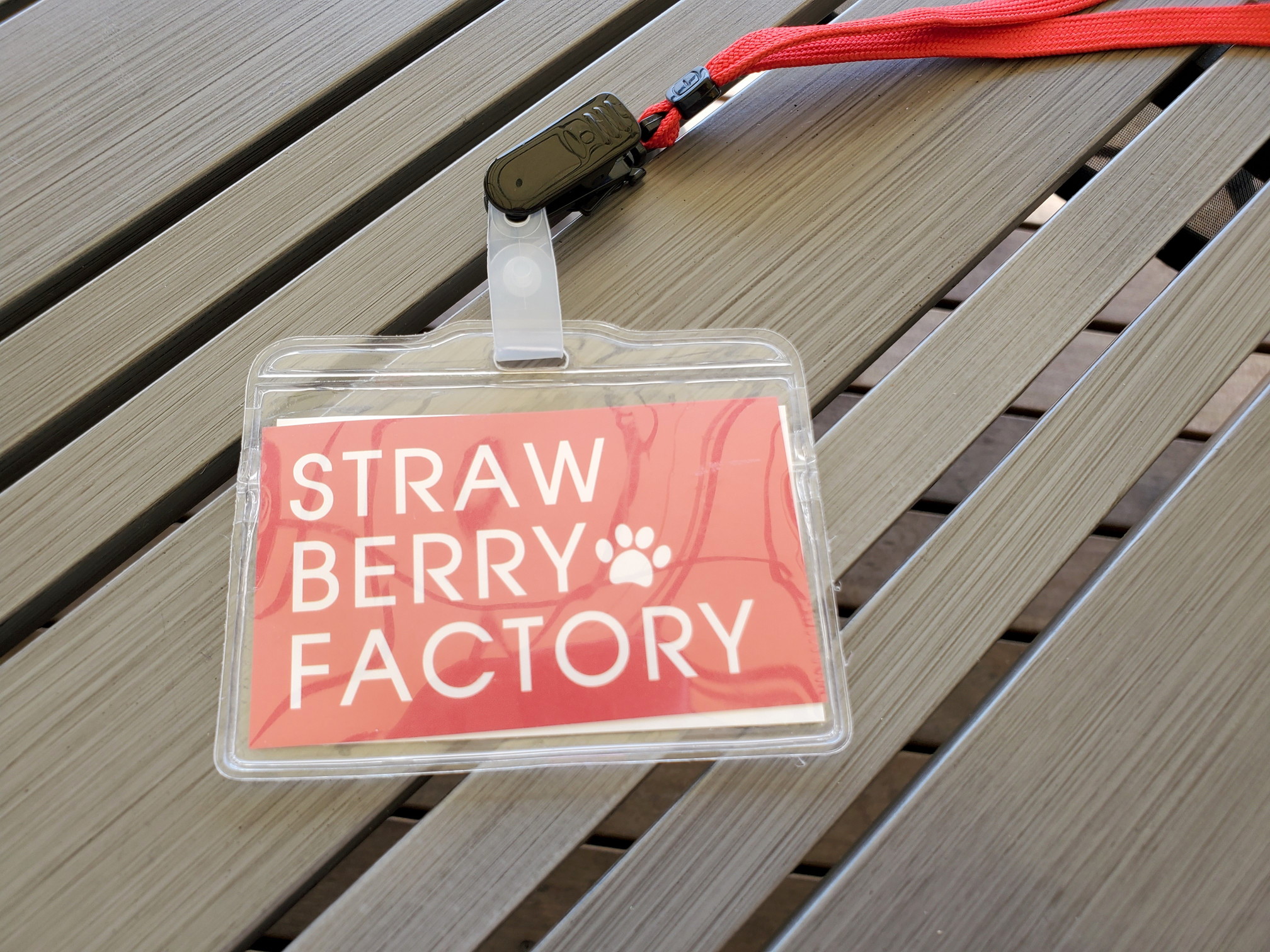 Strawberry Factory(ストロベリーファクトリー)