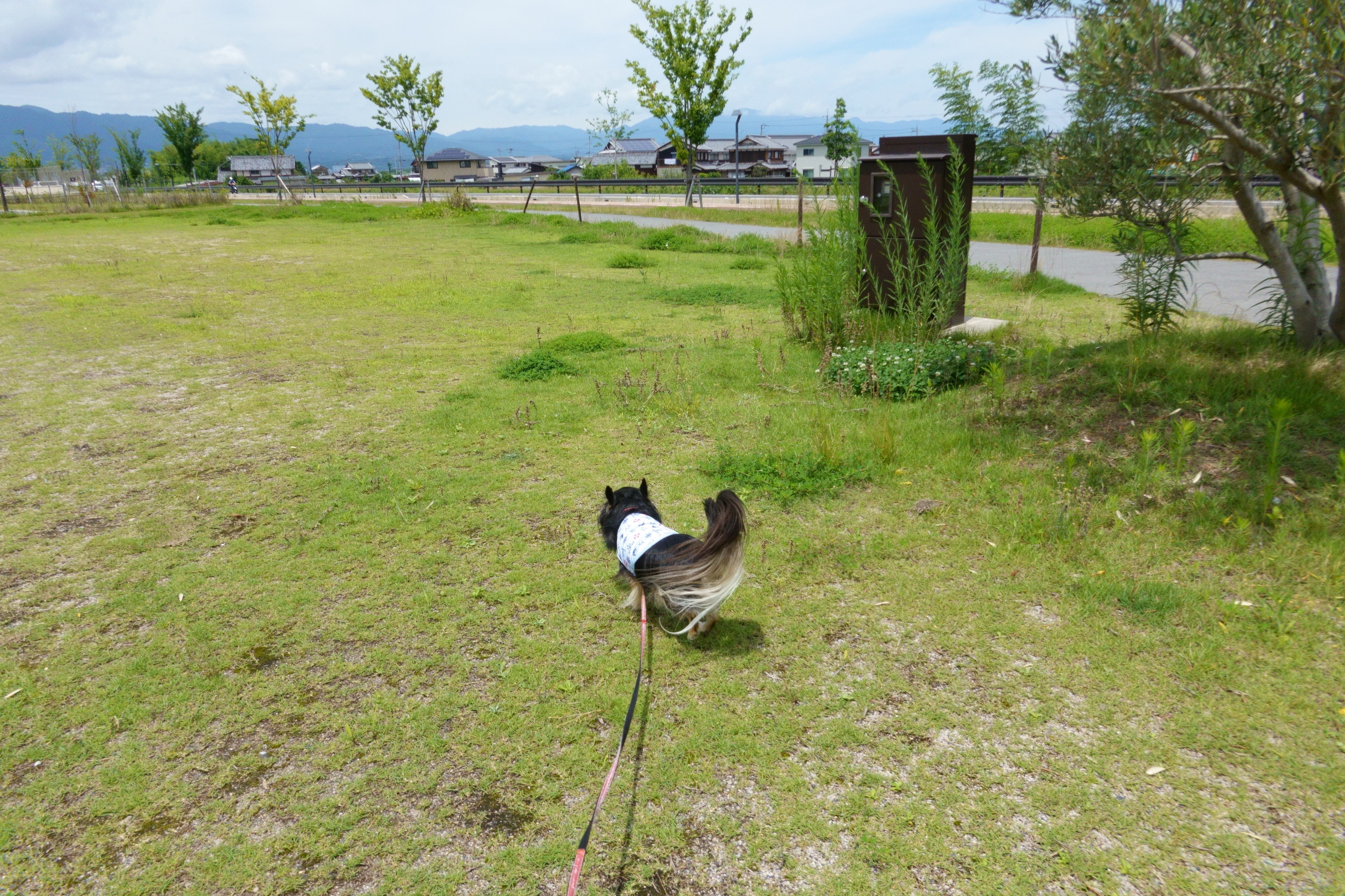 カフェ カイマナリオ