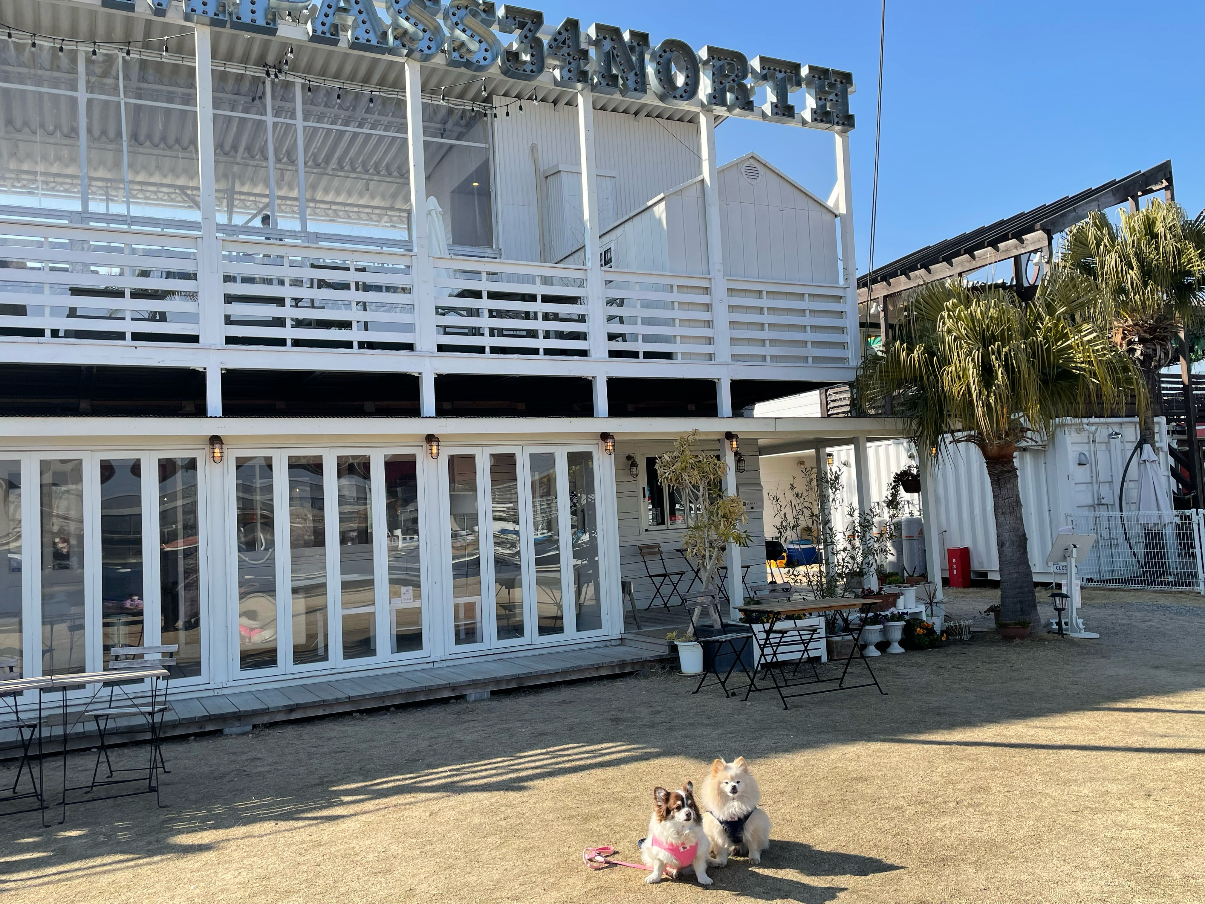 香櫨園駅 潮風が心地よいヨットハーバーのおしゃれカフェ Almare Sea Terrace アルマーレ シーテラス 犬同伴可 兵庫県 西宮市 ペットと一緒