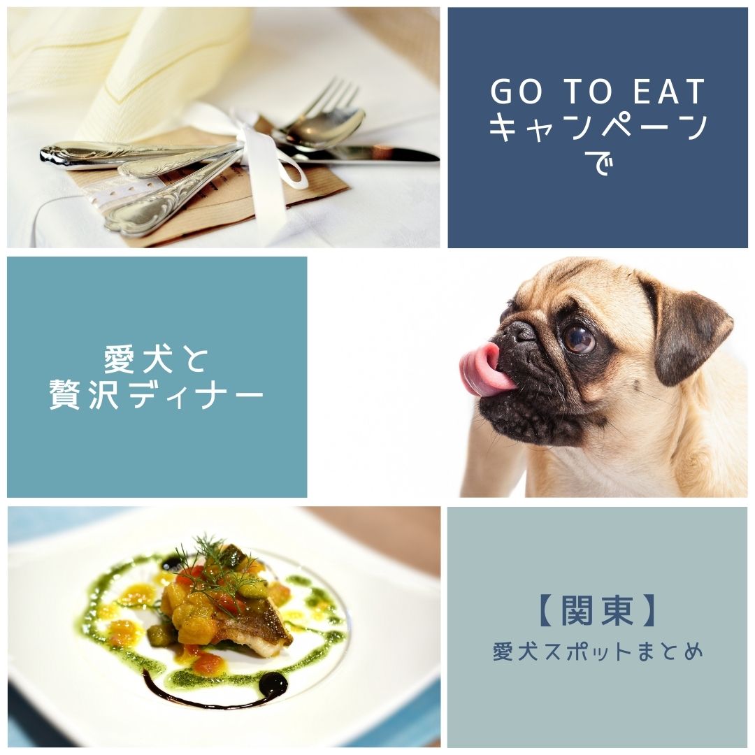 【関東】Go To Eatキャンペーンで愛犬と贅沢ディナー