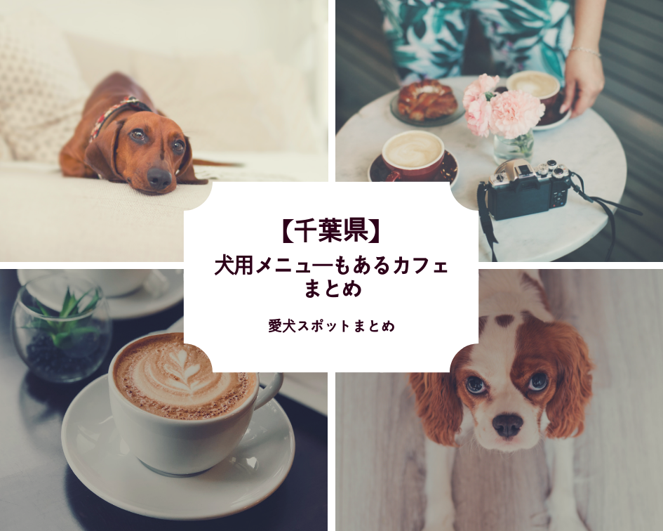 【千葉県】「犬用メニューもあるカフェまとめ」PartⅣ