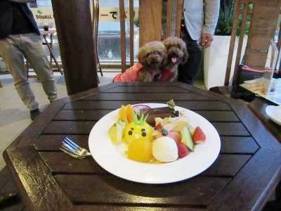 【関東】愛犬と美味しいケーキが食べられるお店