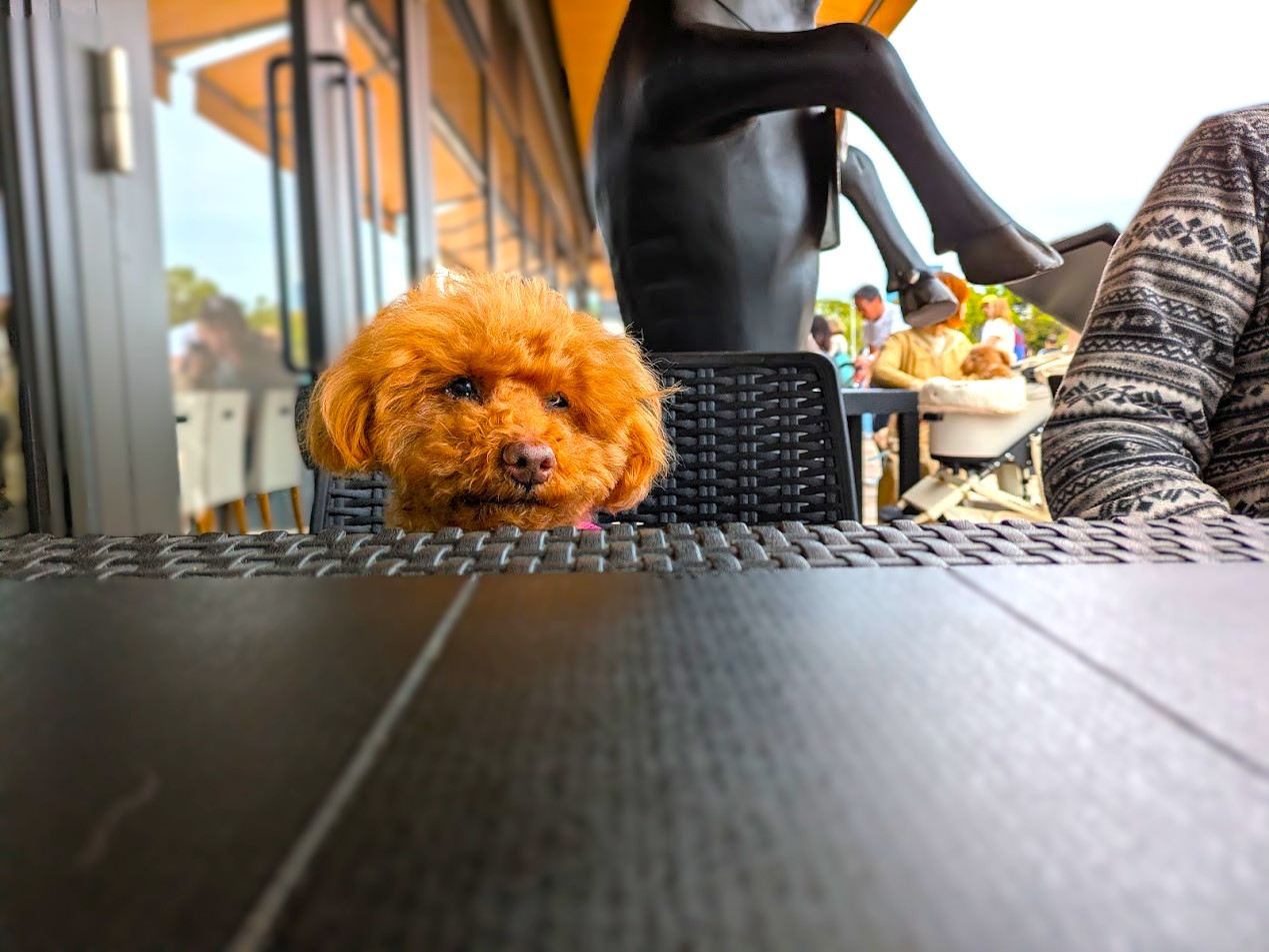 浪華焼肉さぶろう