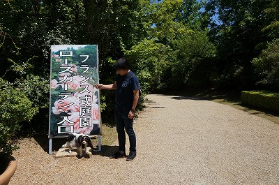 河津バガテル公園