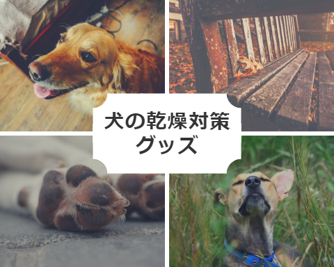 犬の乾燥対策グッズ