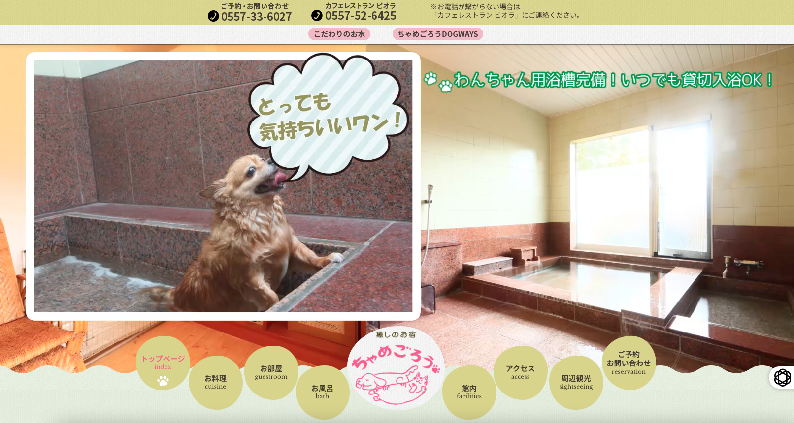 犬と入れる温泉・銭湯・岩盤浴特集