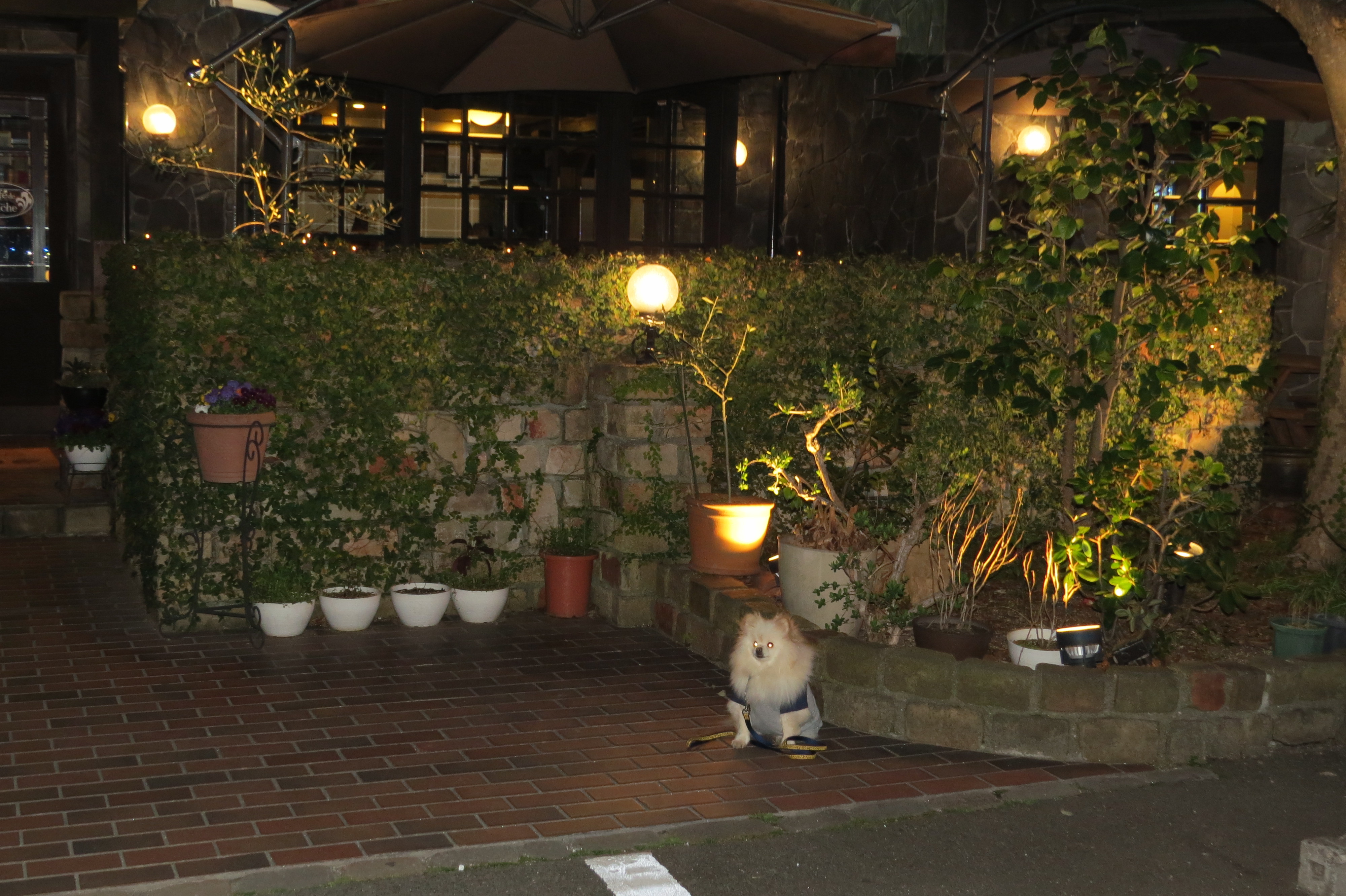Cafe