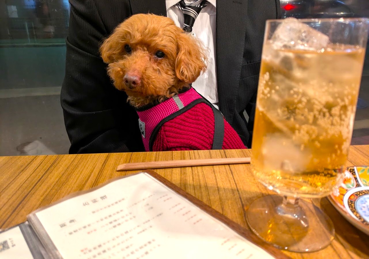 居酒屋