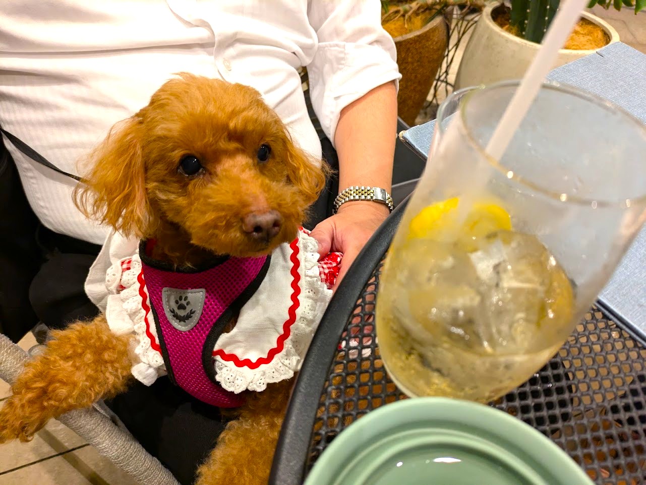 Pizzeria&Trattoria Bar Table Nice なんばパークス店