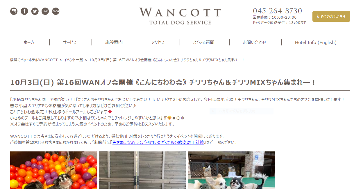 WANCOTTこんにちわわ会