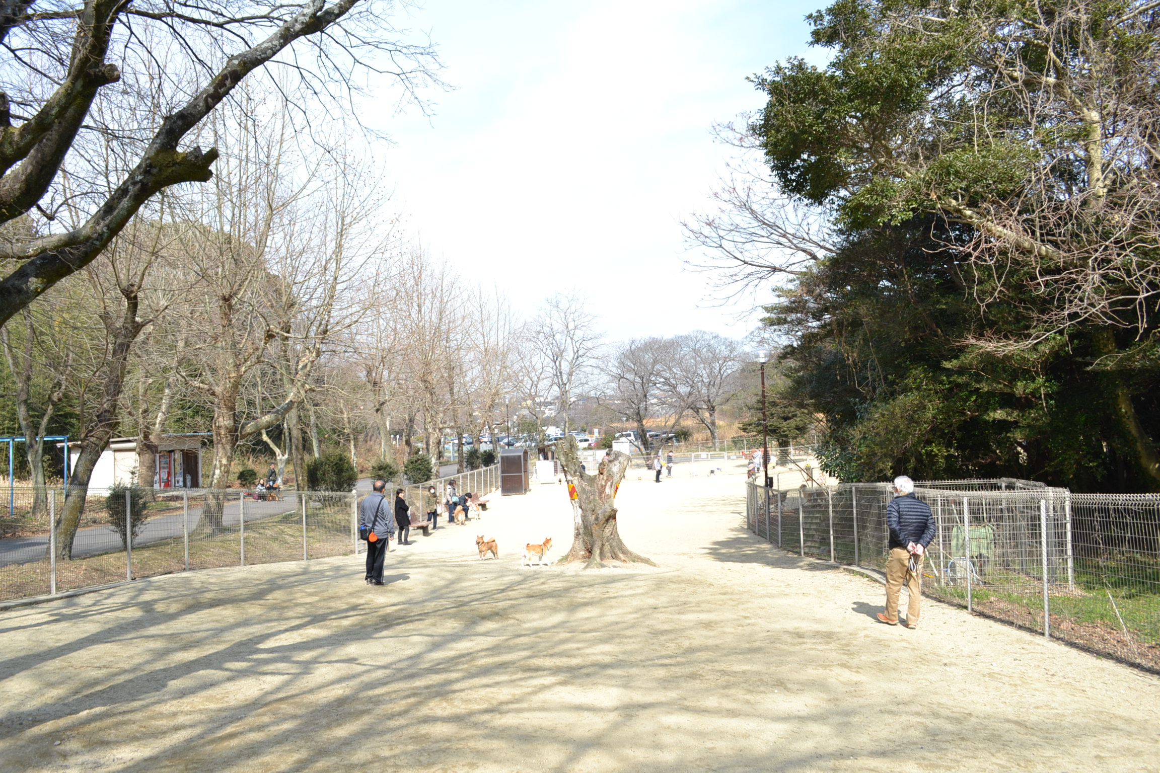 大高緑地ドッグラン