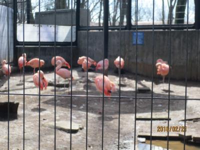 夢見ヶ崎動物公園