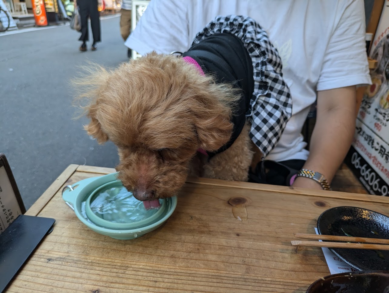 ナミヘイスタンド裏なんば店