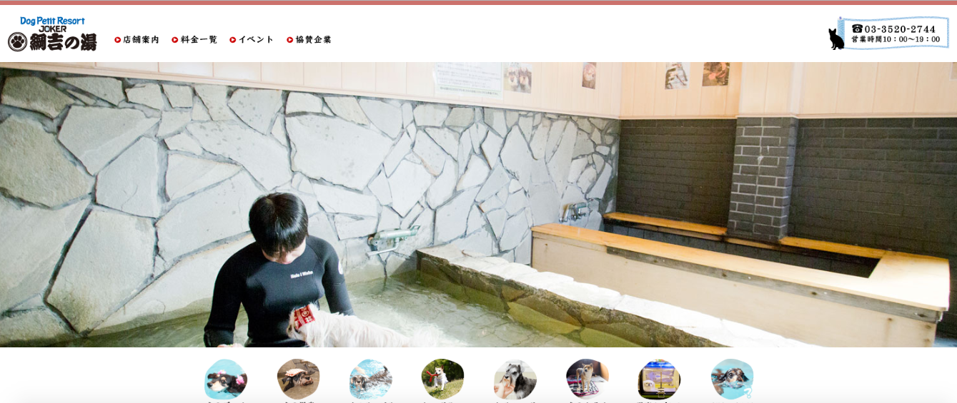 【関東】〜愛犬と寒くても楽しめるスポットまとめ〜室内ドッグラン・温泉