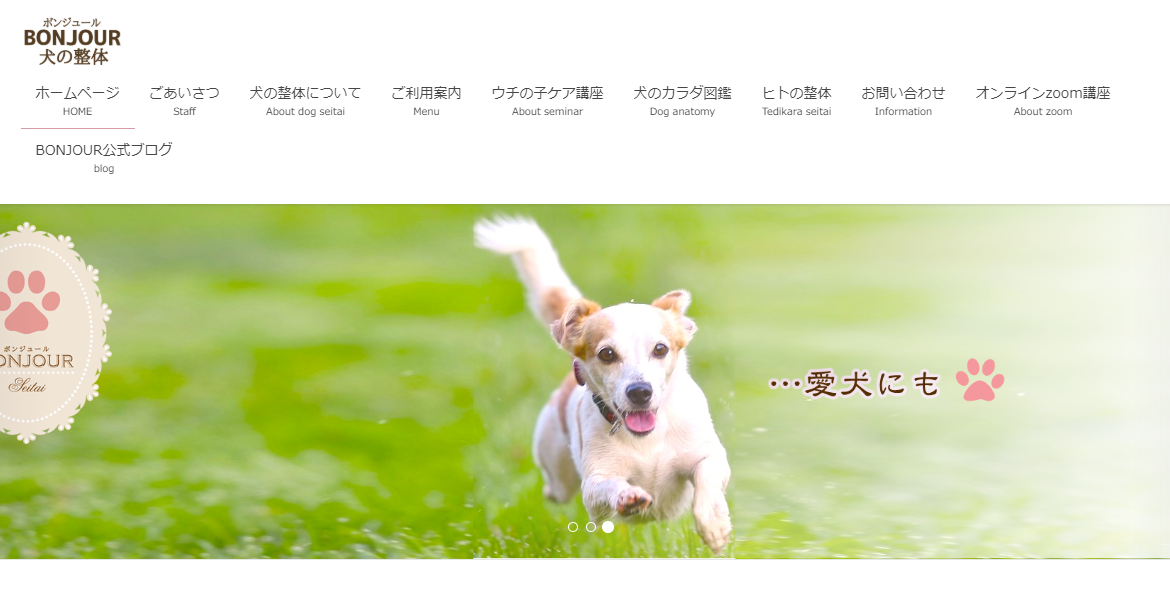 犬の整体&ビワの葉温灸施術イベント