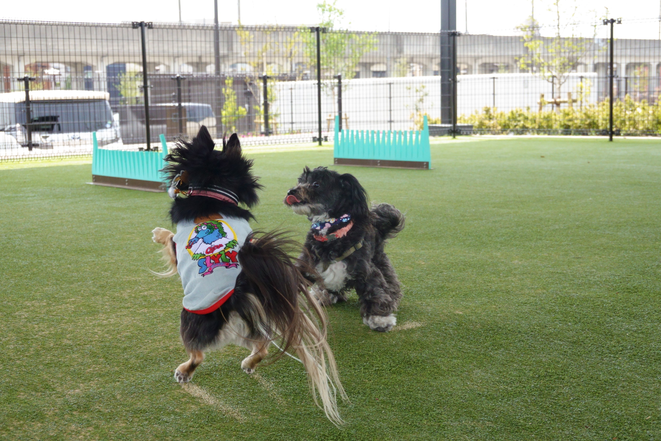 GRASS DOG＆CAT(グラスドッグ＆キャット) 高槻安満遺跡公園店