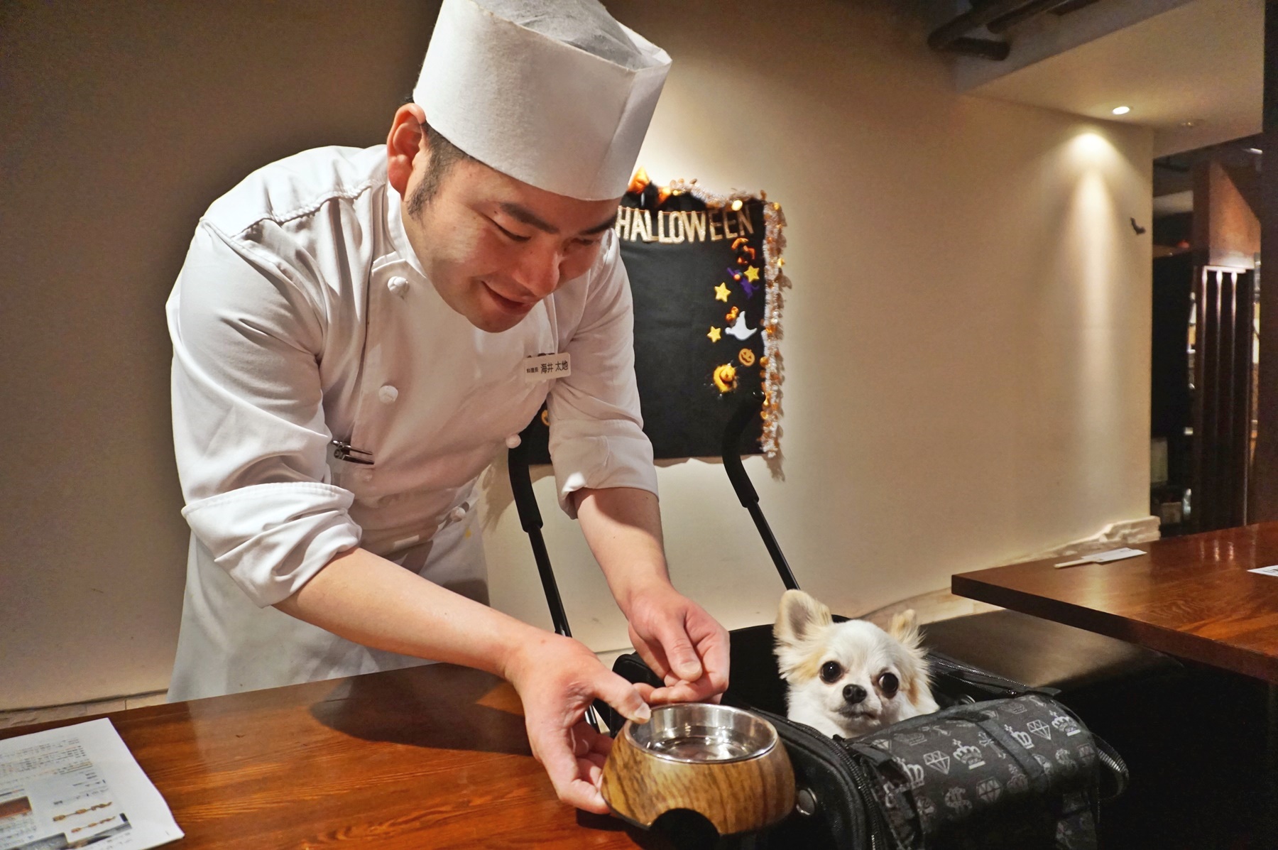 【関東】Go To Eatキャンペーンで愛犬と贅沢ディナー