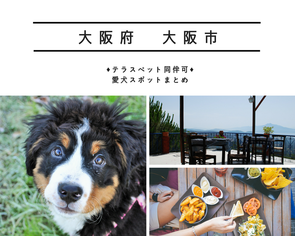 大阪市内 ワンコ連れにおすすめ すべての愛犬スポット テラス席同伴可能なカフェ レストラン まとめpart2 大阪府 ペットと一緒