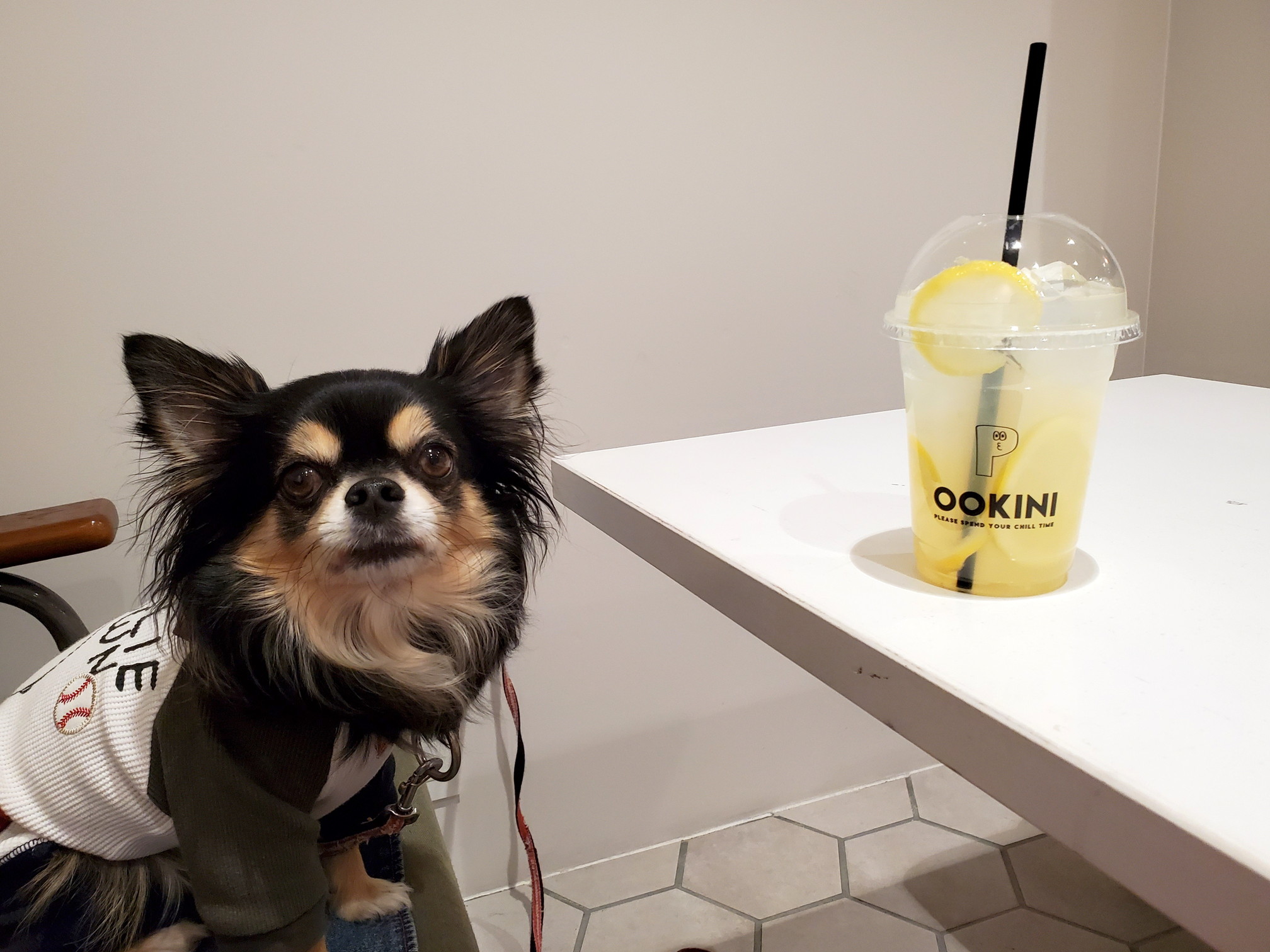 COFFEE＆DOG LUSH LIFE(コーヒーアンドドッグ ラッシュライフ)