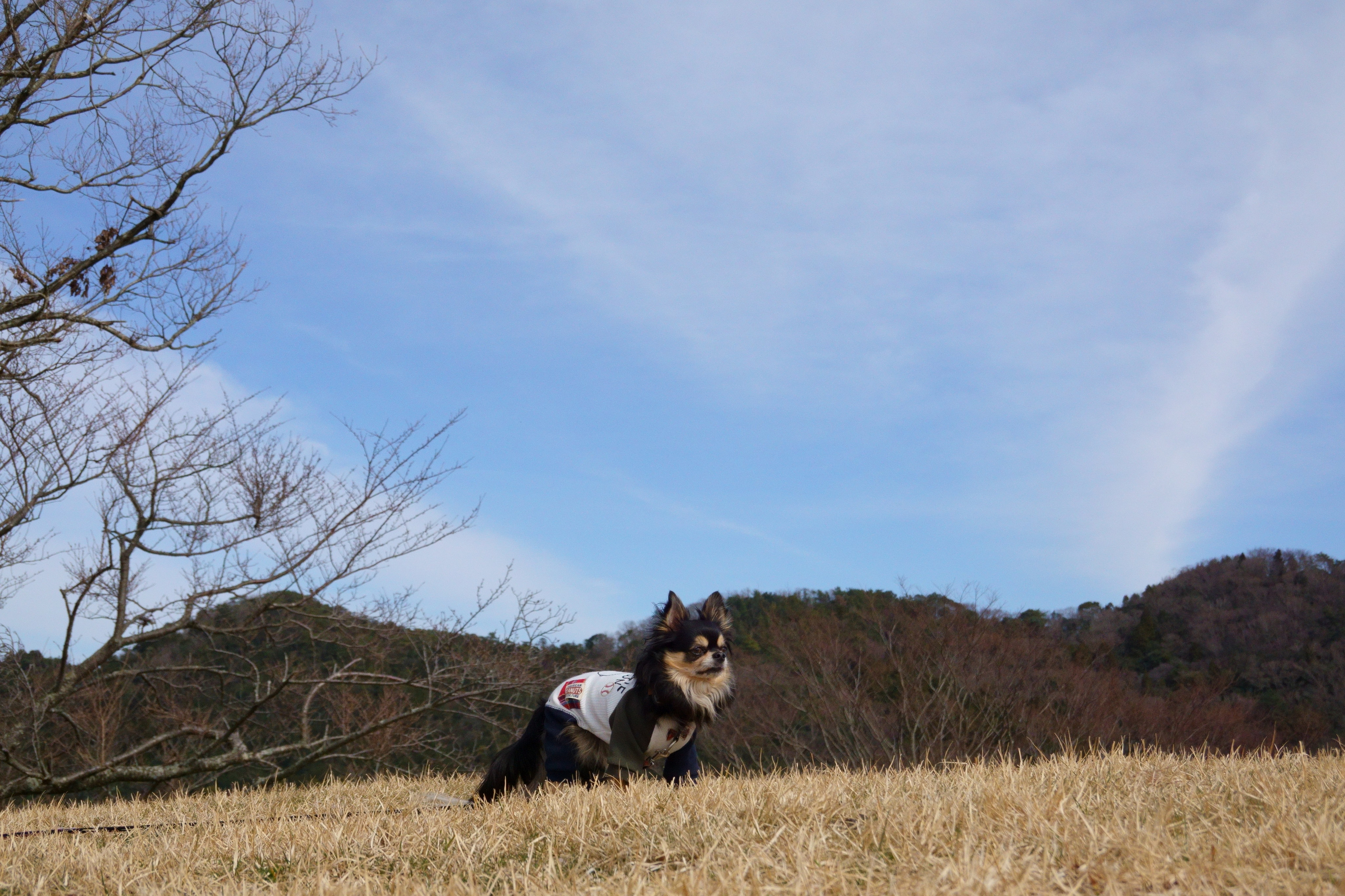 黒沢牧場