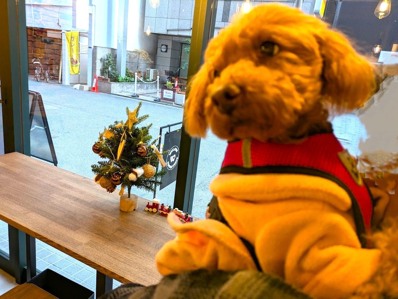 ウィローコーヒースタンド