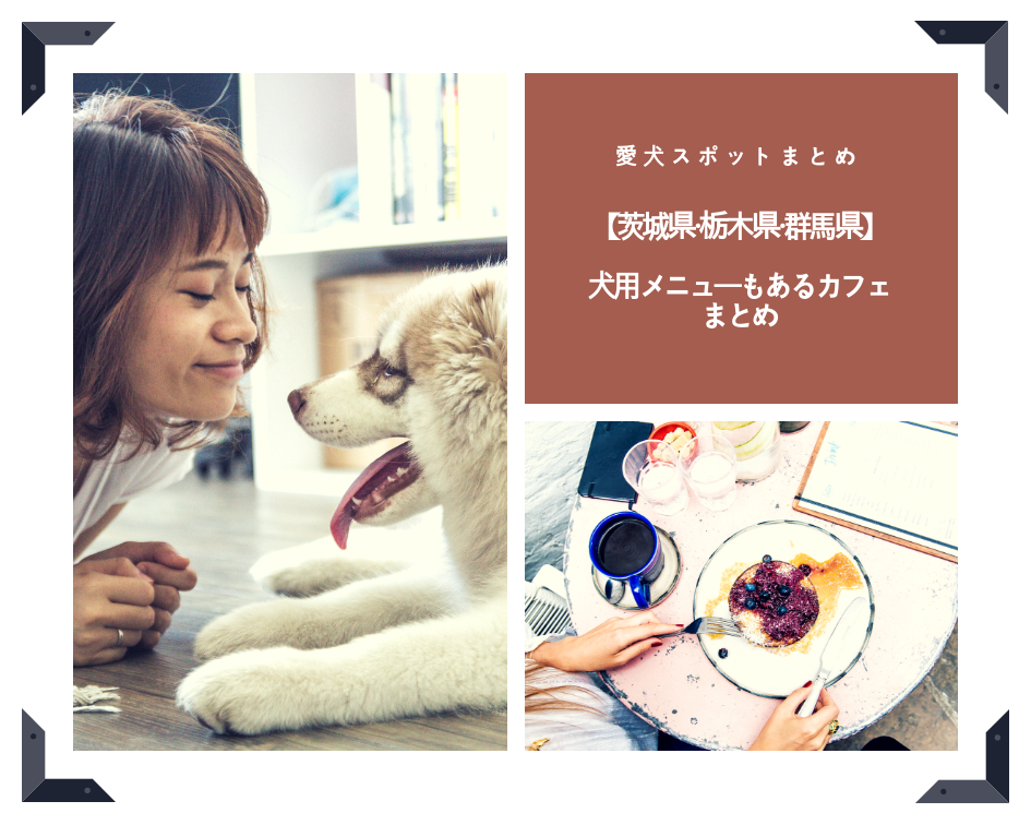 【茨城県・栃木県・群馬県】「犬用メニューもあるカフェまとめ」PartⅦ