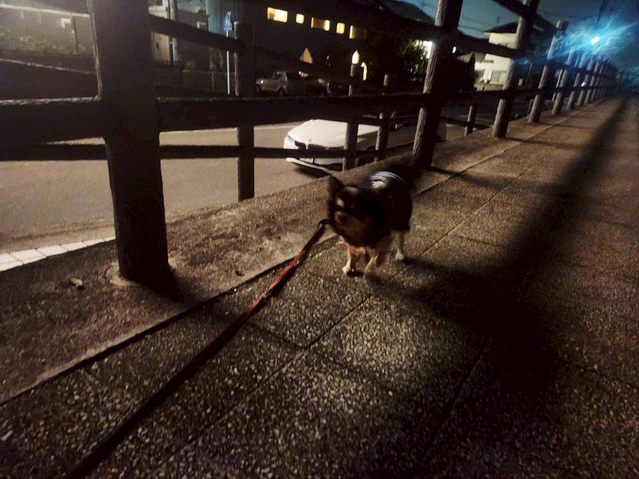 おもてなしホステル宮島