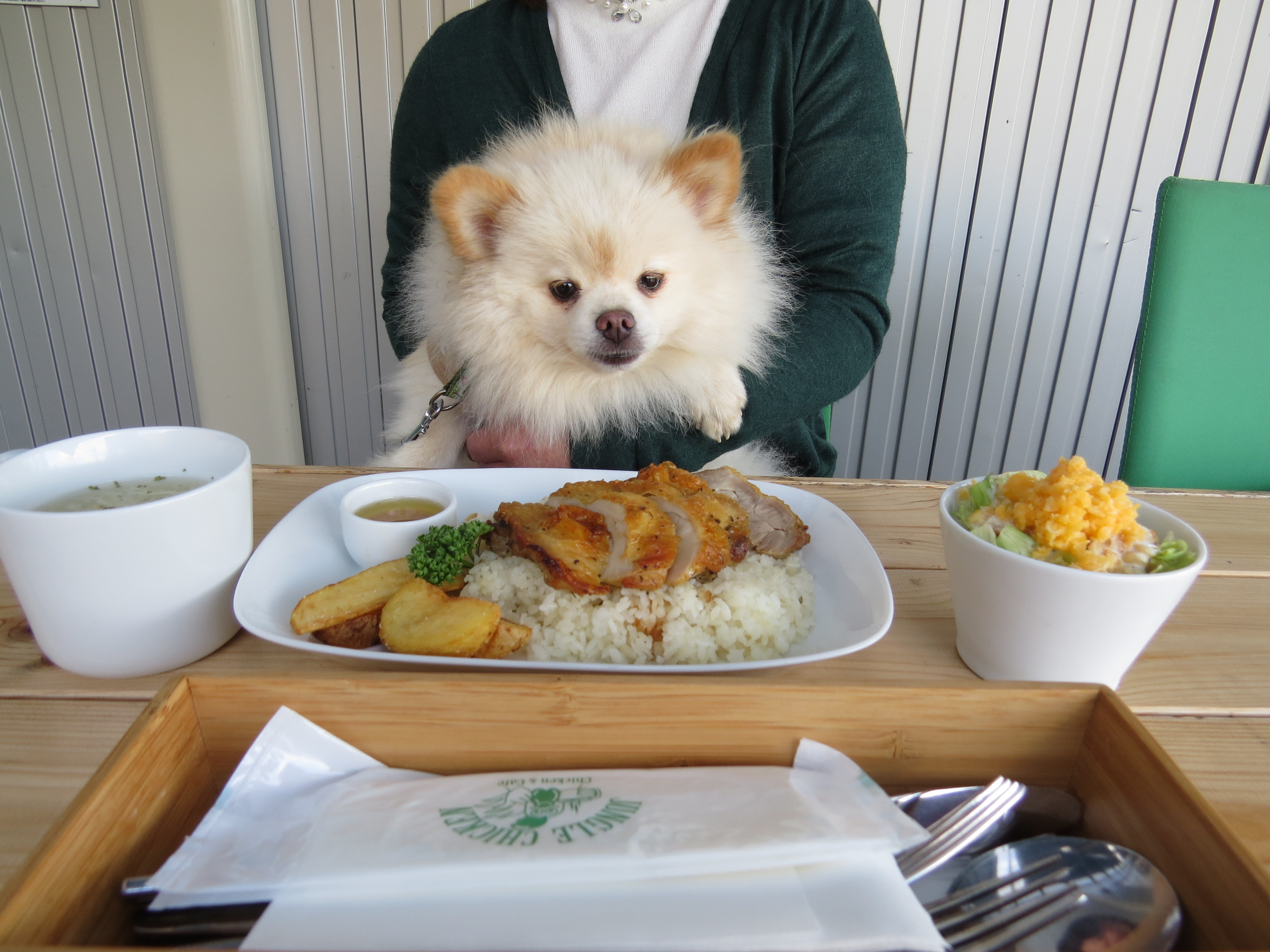 JANGLE CHICKEN(ジャングルチキン)