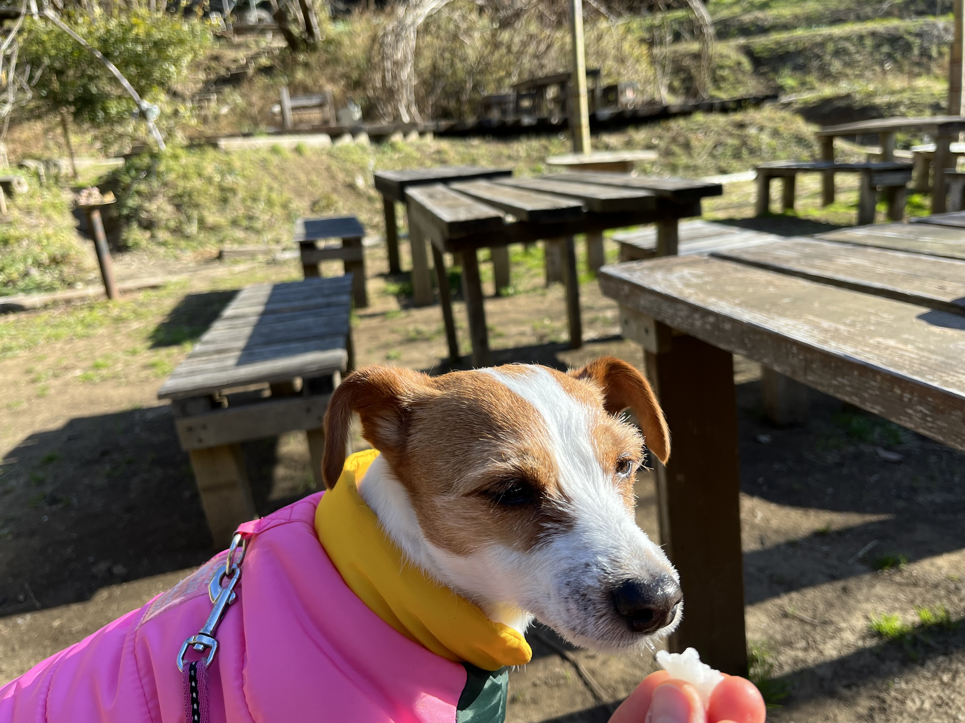 神奈川県