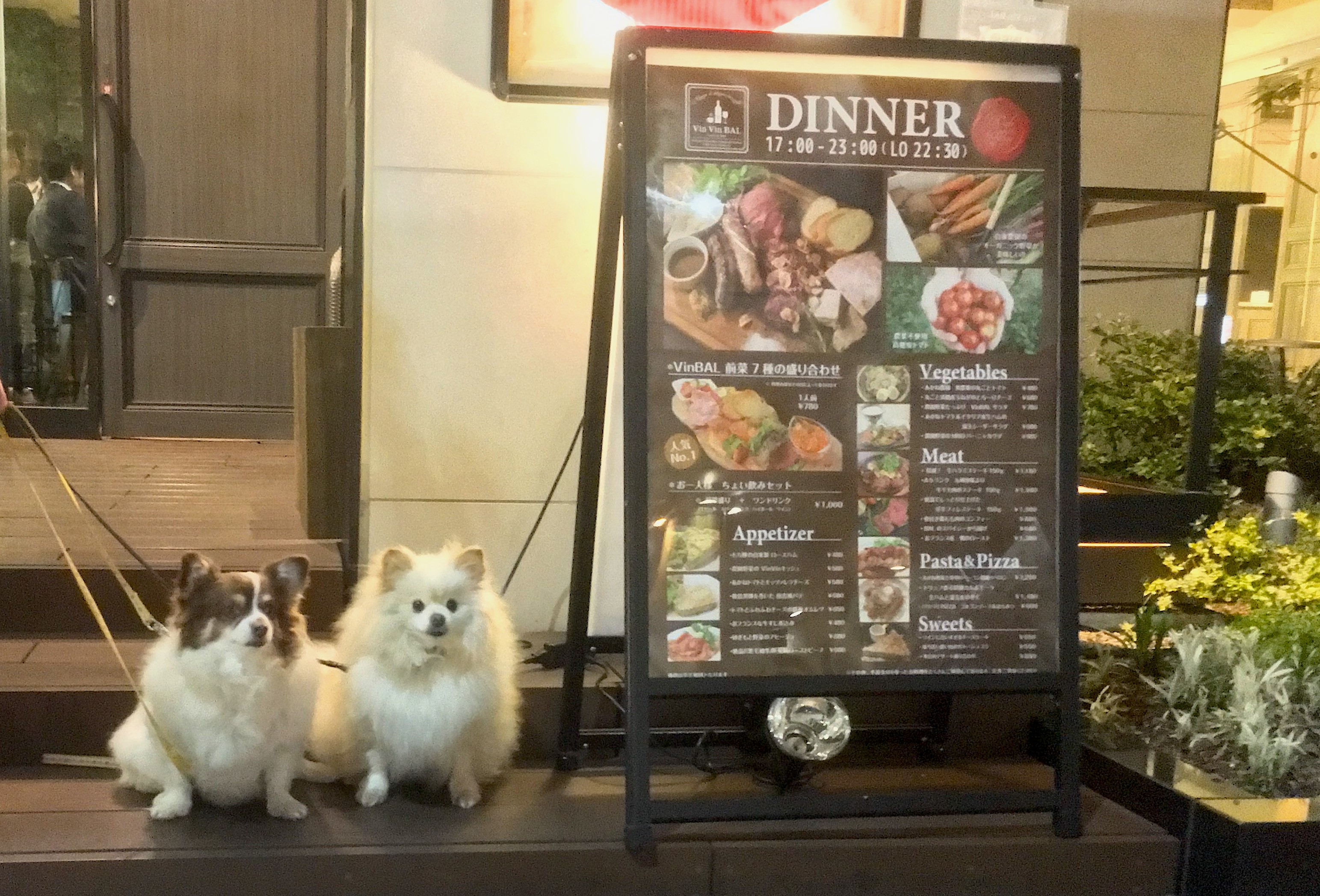 【兵庫】ペット同伴可!オシャレなダイニングバーまとめ