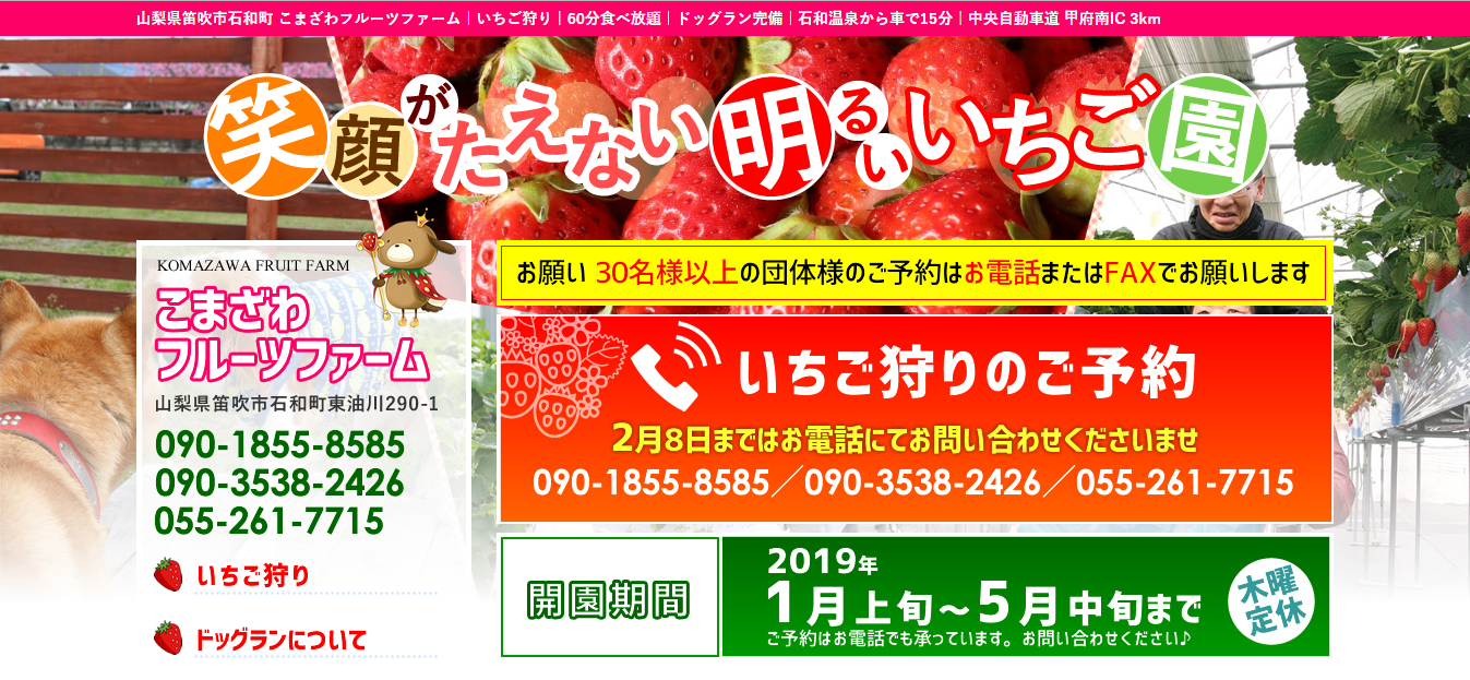 山梨県笛吹市 愛犬と一緒にいちご狩りを楽しもう ペットと一緒