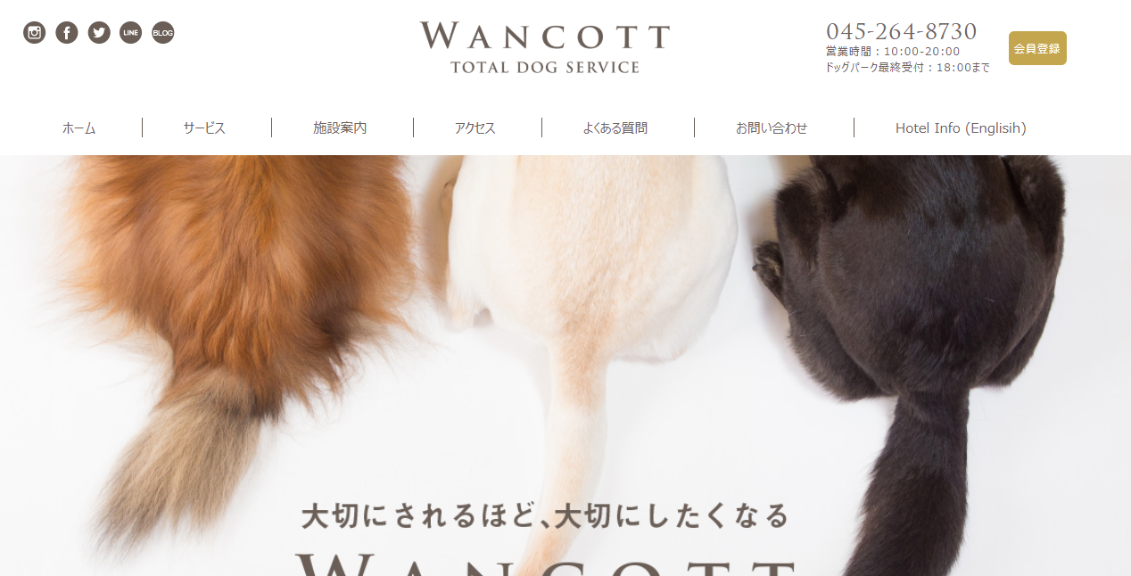 WANCOTTアジリティ開放DAY