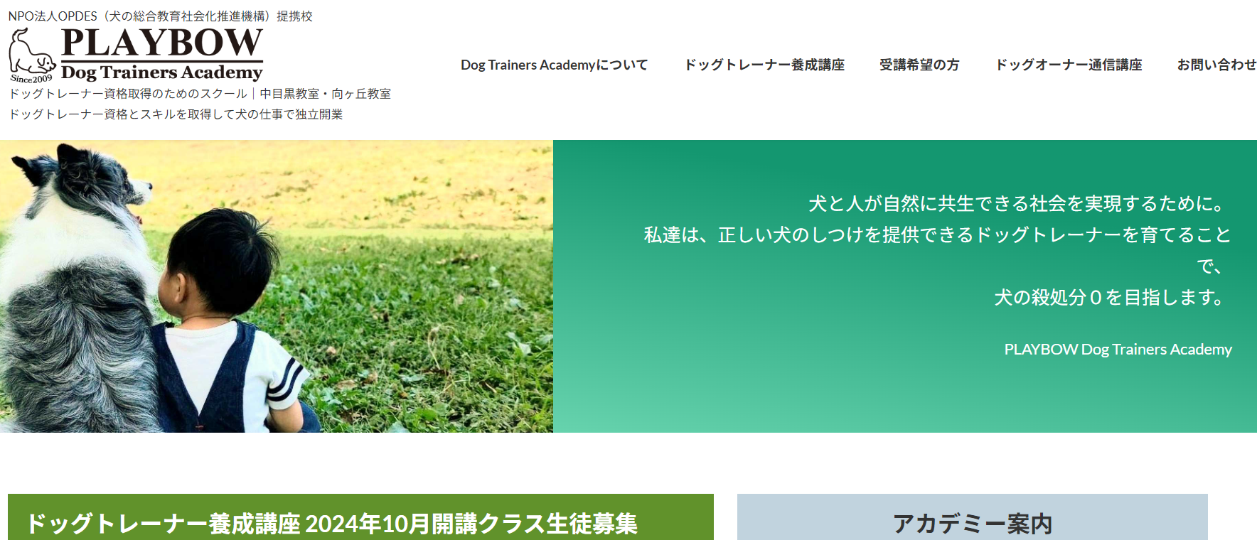 授業体験 ~基礎から考える問題行動~