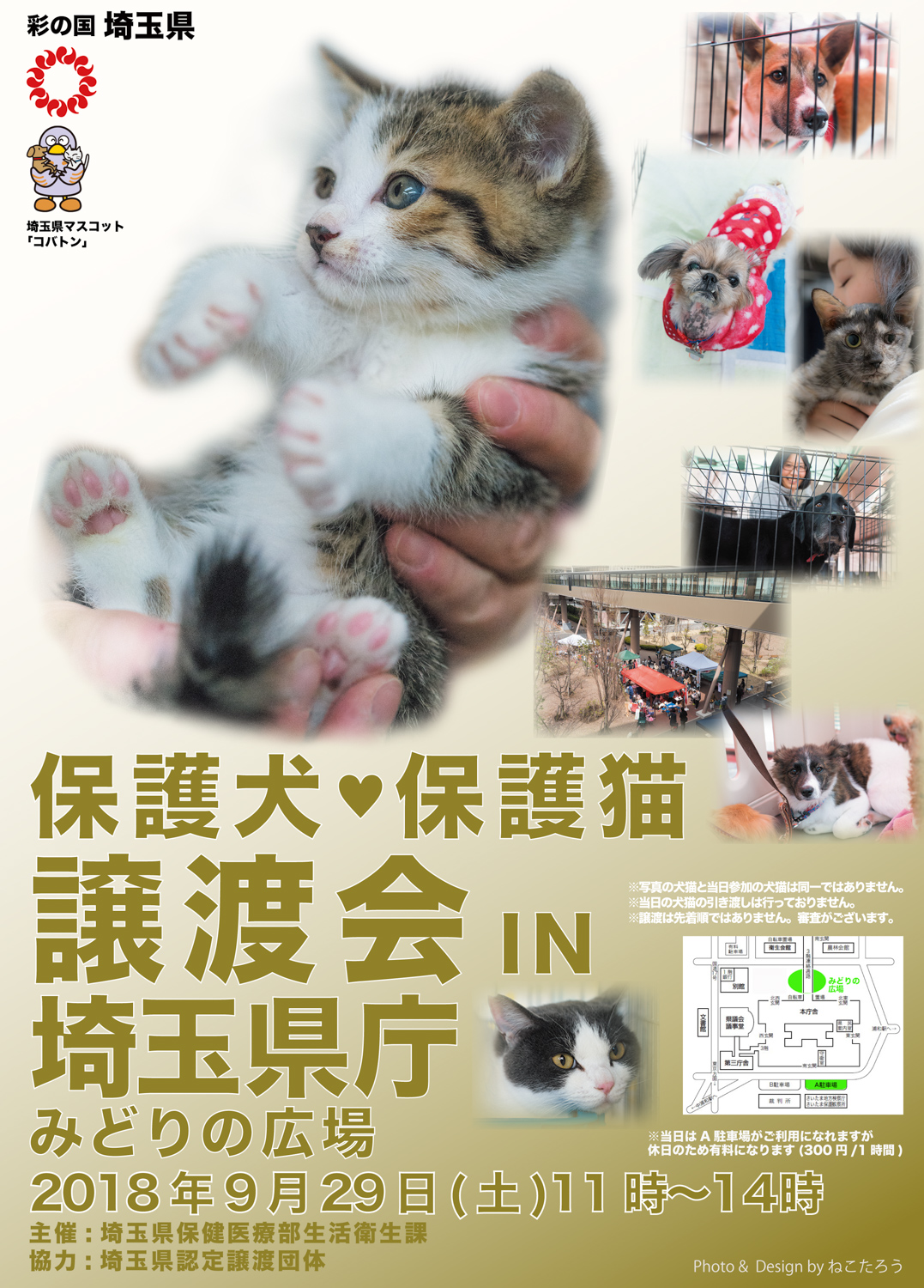 保護犬・保護猫譲渡会