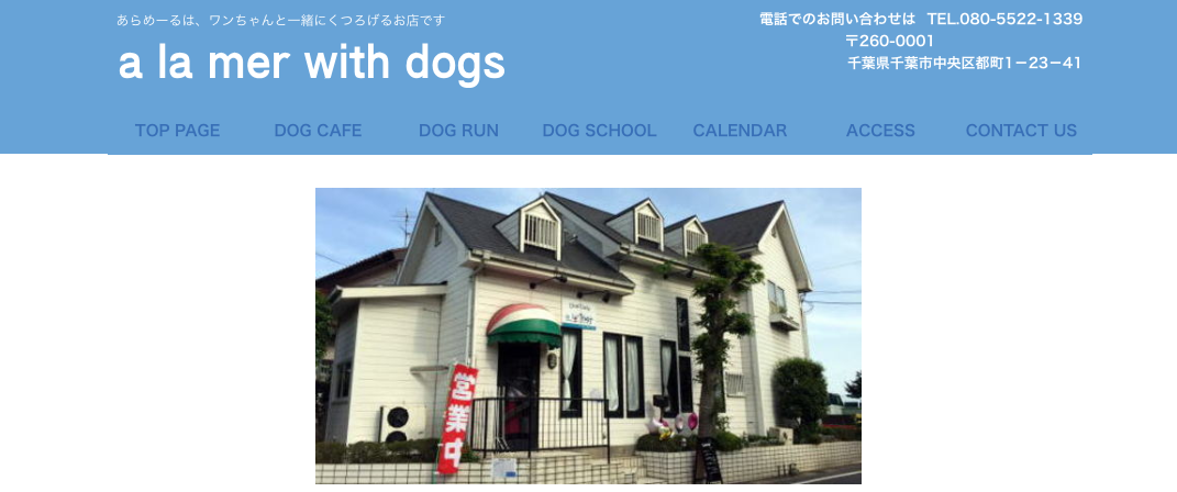 【関東】〜屋内の愛犬インスタ映えスポット まとめ〜