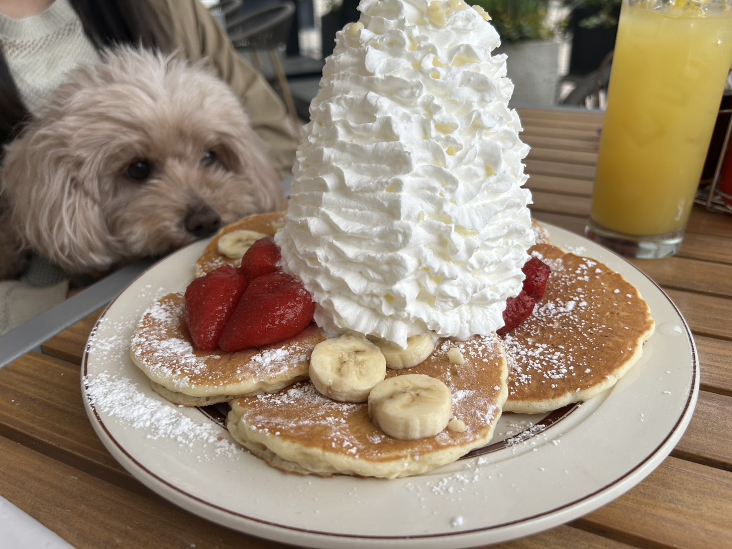 エッグスンシングス