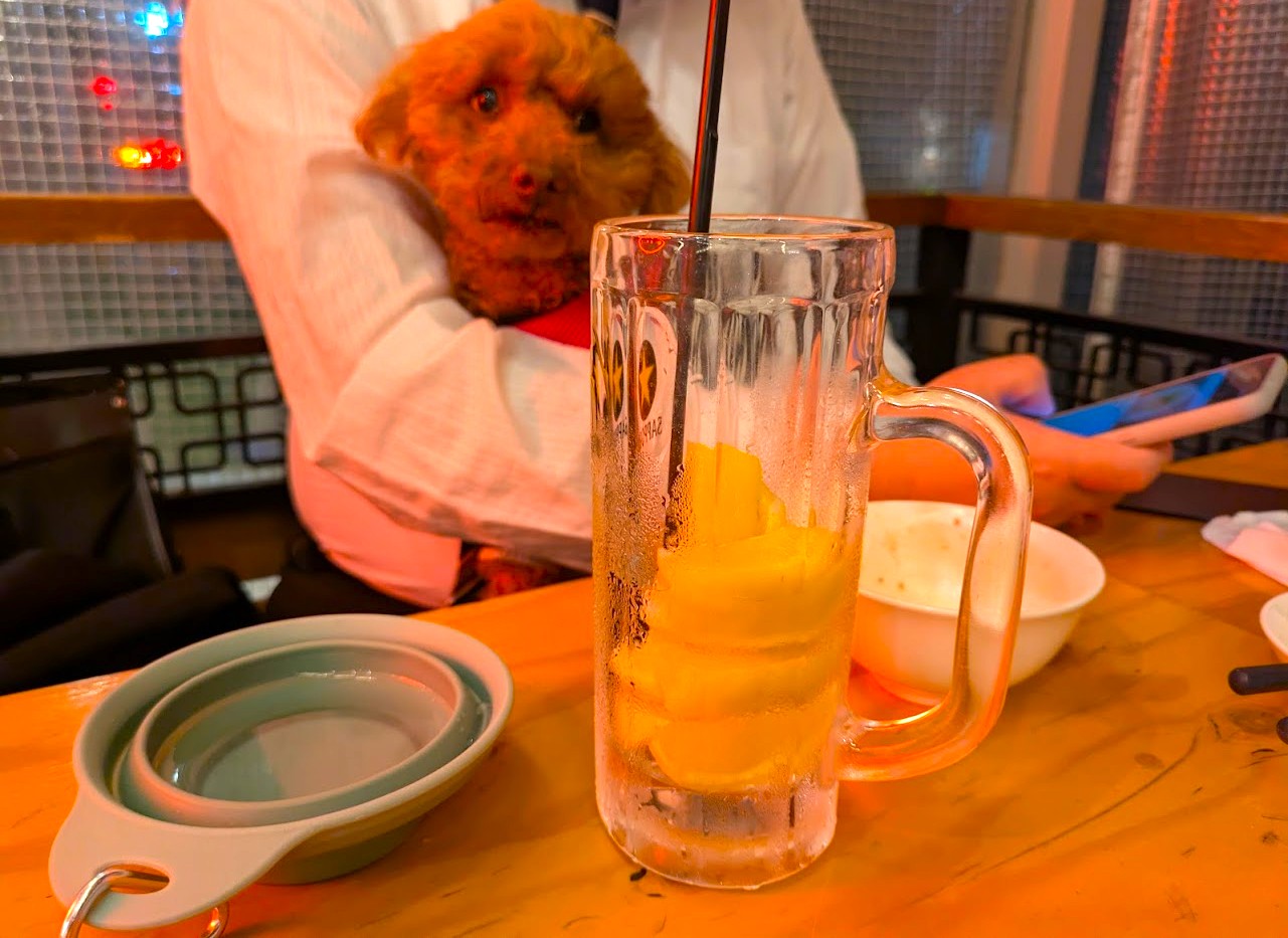羽根つき小籠包Dins堺筋本町店