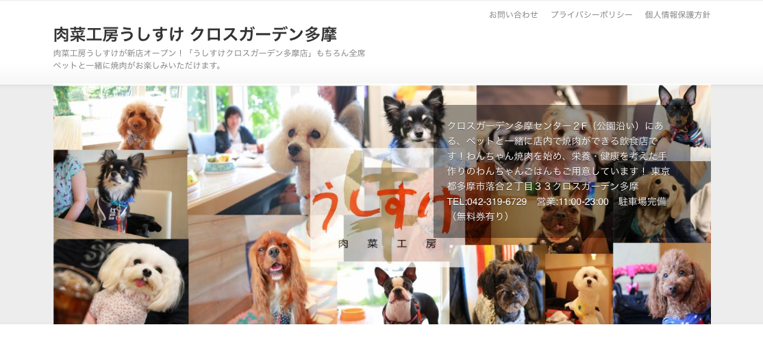 【関東】〜屋内の愛犬インスタ映えスポット まとめ〜