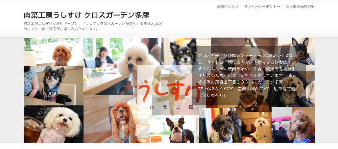 【関東】〜屋内の愛犬インスタ映えスポット　まとめ〜