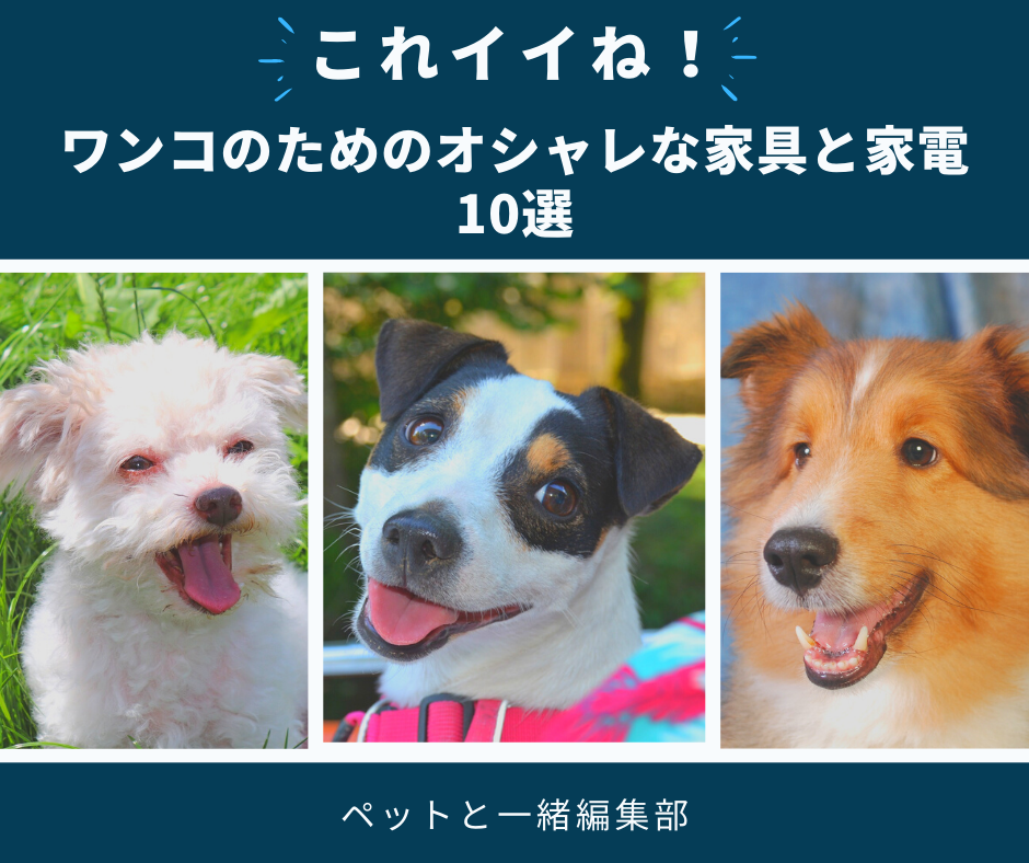 これイイね!ワンコの為の家具と家電10選【ペットと一緒編集部】